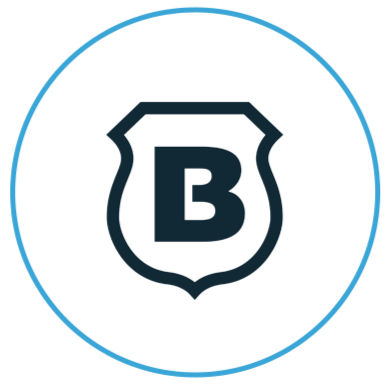 Brinks Logo